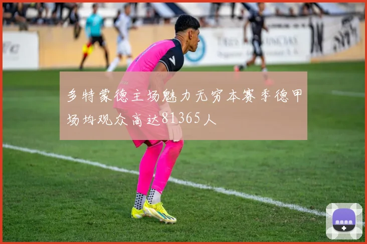 多特蒙德主场魅力无穷本赛季德甲场均观众高达81365人