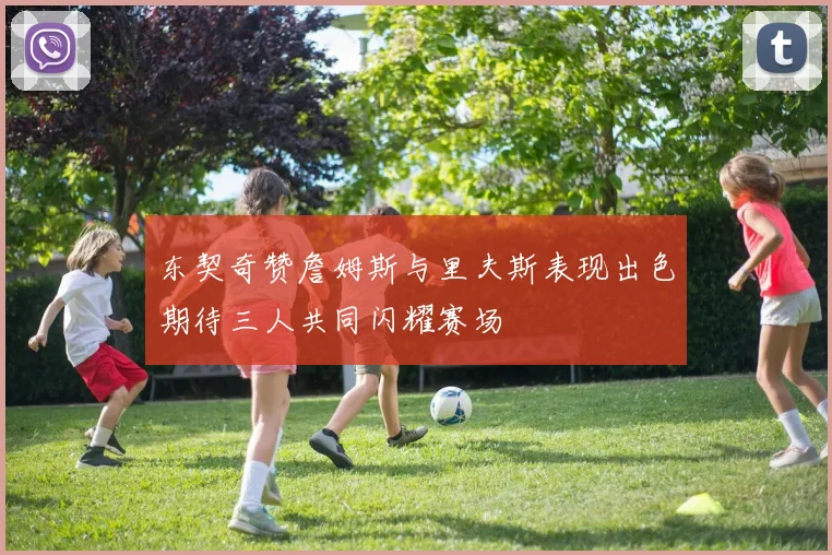 东契奇赞詹姆斯与里夫斯表现出色期待三人共同闪耀赛场