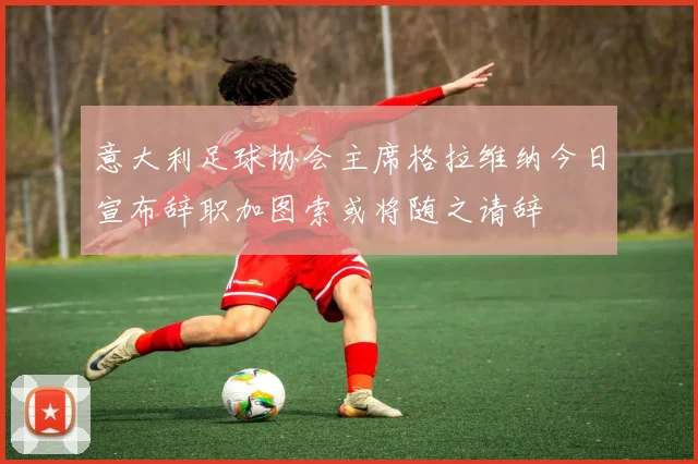 意大利足球协会主席格拉维纳今日宣布辞职加图索或将随之请辞